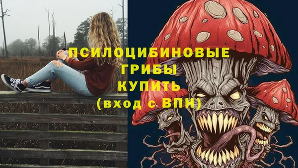 мяу мяу мука Няндома